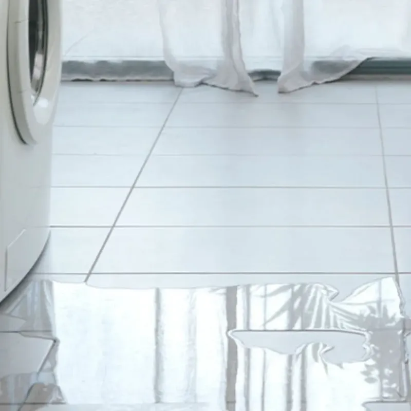Appliance Leak Cleanup in Thornton, CO